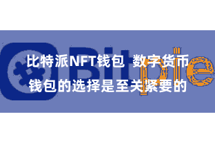 比特派NFT钱包  数字货币钱包的选择是至关紧要的